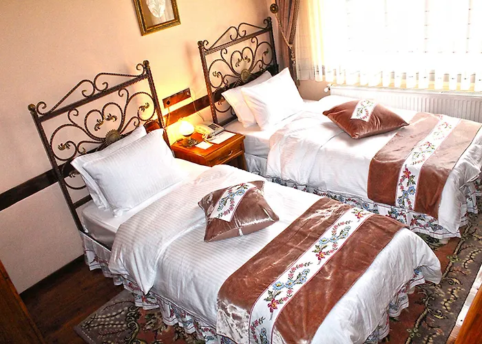 Butik Hotel-hasan Muallim ホテル