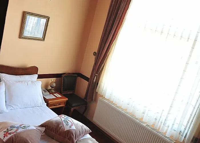 Butik Hotel-hasan Muallim ホテル