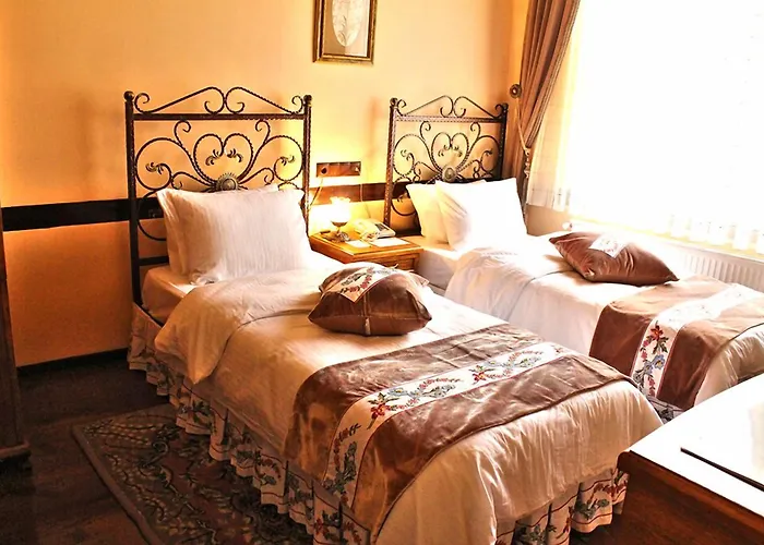 Butik Hotel-hasan Muallim ホテル Akşehir